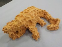 ナイルワニ