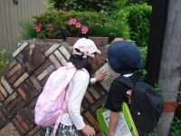 窯垣の小径　レンガみたいという子もいました