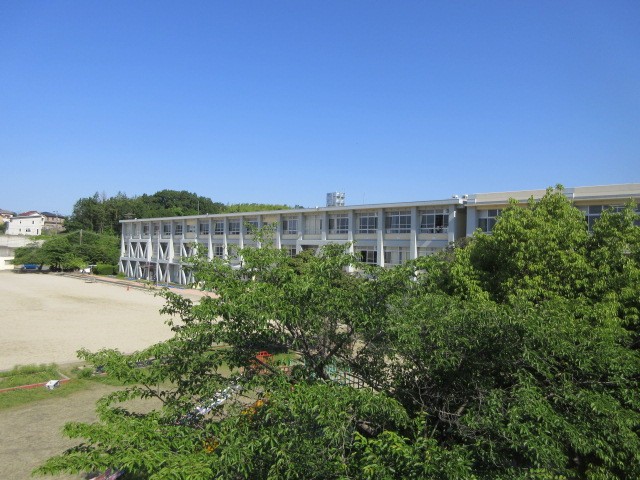 IMG_6254.JPG