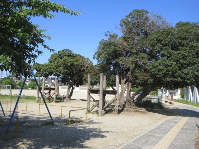 IMG_6256.JPG