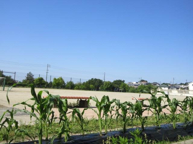 IMG_6258.JPG